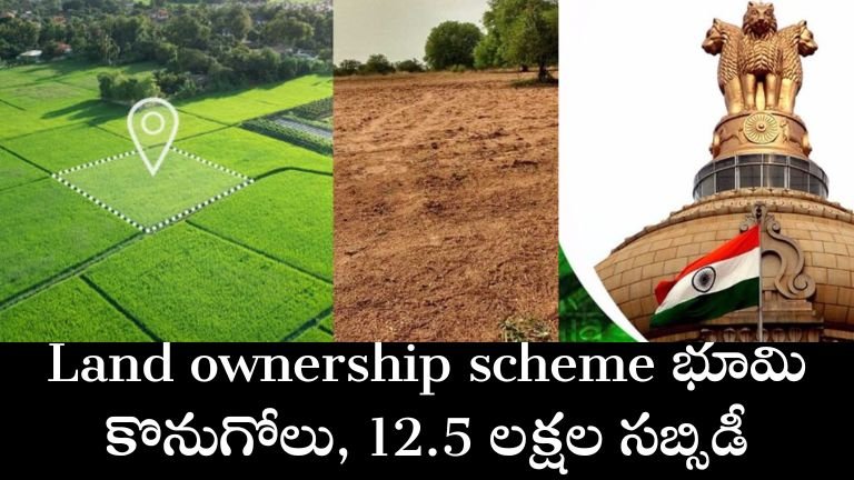 Land ownership scheme